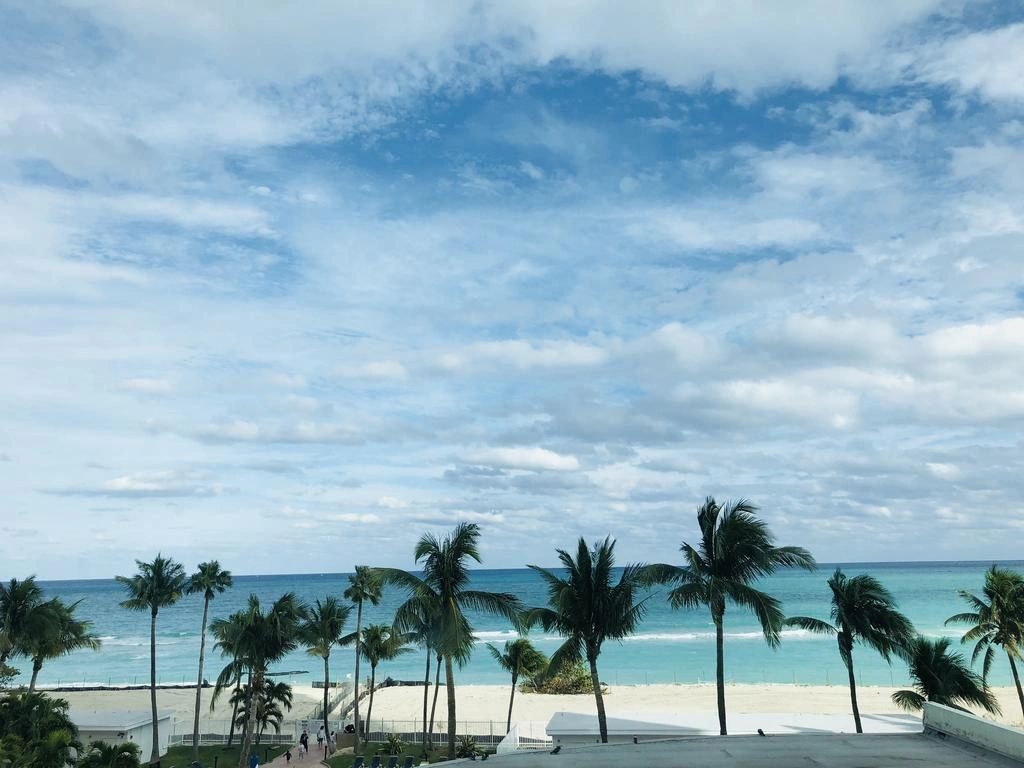 Sunshine Beach