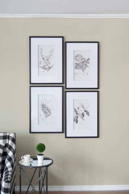 Verdura Botanica: Four-Print Houseplant Pencil Art Set