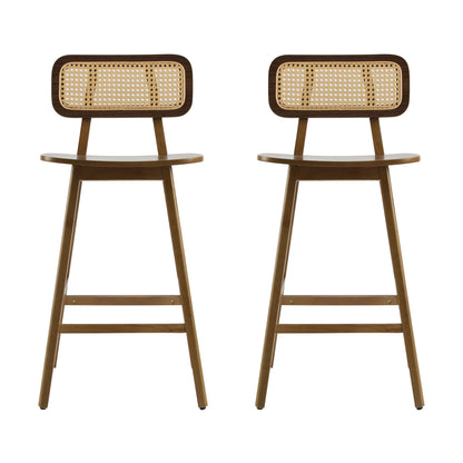 Bari Indoor Wood Barstool (Set of 2)