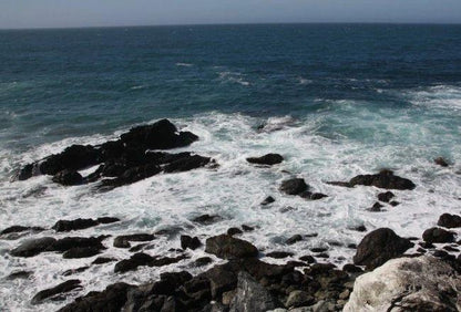 Jade Cove