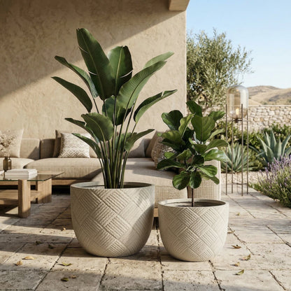 Round Concrete Planter Set of 2