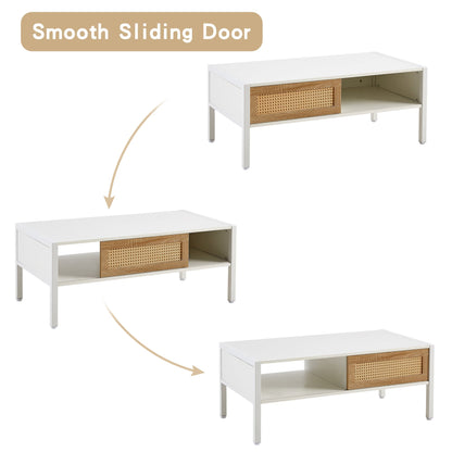 Modern Rattan Coffee Table with Sliding Door