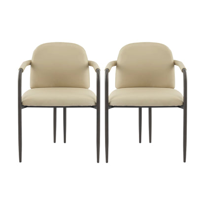 Modern Dining Chair Set of 2 with Iron Frame - Espresso / Khaki