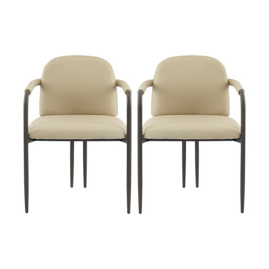 Modern Dining Chair Set of 2 with Iron Frame - Espresso / Khaki