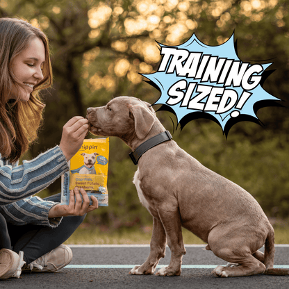 Fish & Sweet Potato Training Bites, 4-Pack