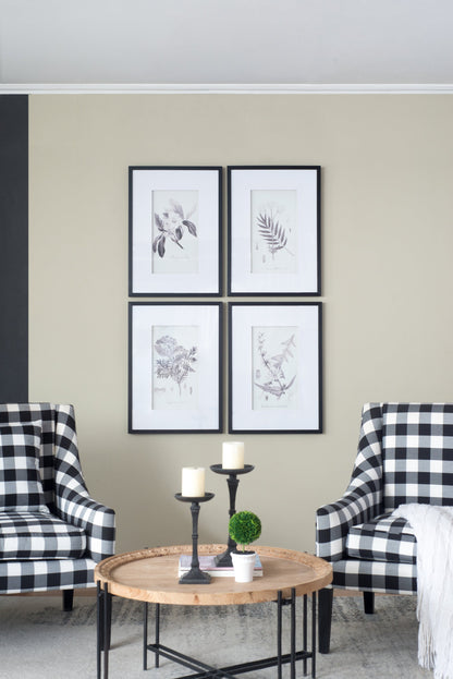 Verdura Botanica: Four-Print Houseplant Pencil Art Set