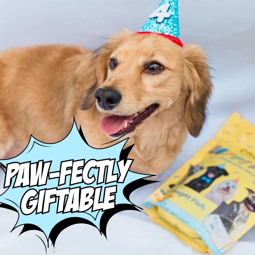 Variety Gift Bundle, 6-Pack