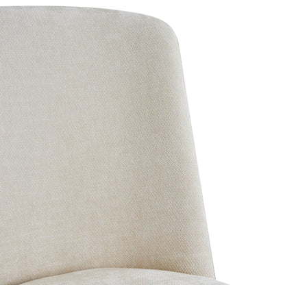 Modern Indoor Dining Chair Set of 2