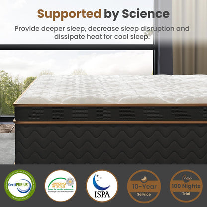 Home 10" Flexpedic Luxury Memory Foam & Pocket Spring Mattress