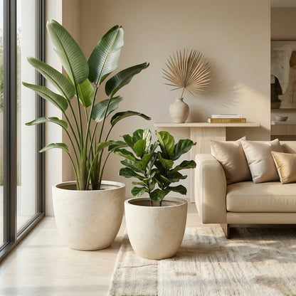 Round Concrete Planter Set of 2, Large Outdoor Indoor Handmade Rustic Decorative Planter Pots with Drainage Holes