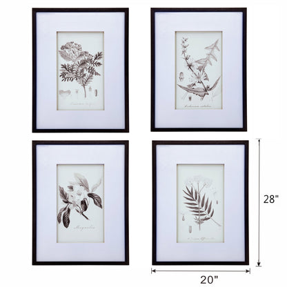 Verdura Botanica: Four-Print Houseplant Pencil Art Set