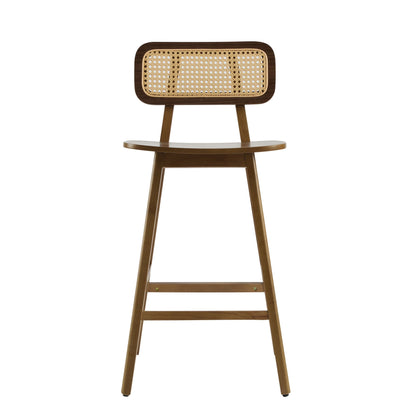 Bari Indoor Wood Barstool (Set of 2)