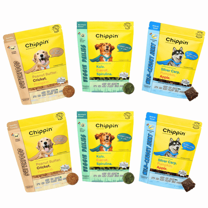 Allergy-Friendly Dog Treats, 6-Pack