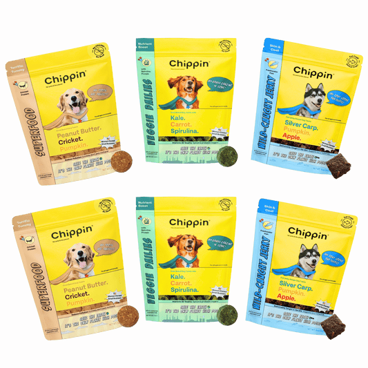 Allergy-Friendly Dog Treats, 6-Pack