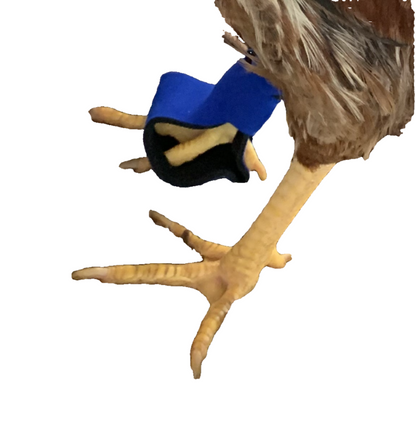 Birdy Bootie (chicken shoes, chicken booties, duck booties and goose shoes)