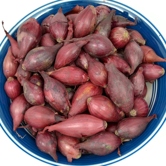 Bulk Red Onion Sets 4 Lbs. Non-GMO Red Baron Variety 400+ Bulbs