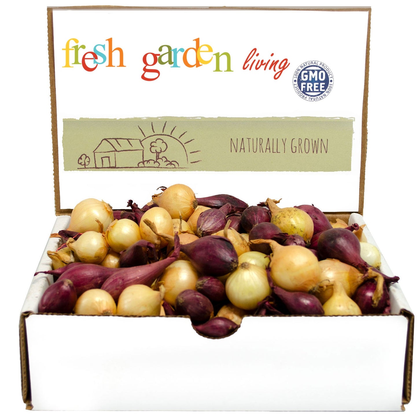 Mixed Red & Yellow Onion Sets 1 Lb. Non-GMO