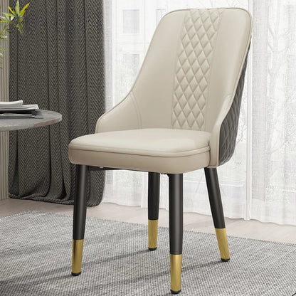 Cushion Beautiful Dining Chairs, Modern Metal Ergonomic  Unique  Home Decoration