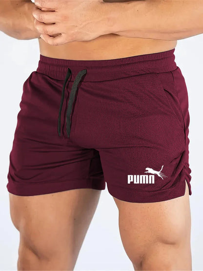 Summer Mesh Quick Drying Shorts, Men Sports Casual Shorts, Breathable Fitness Outdoor Running.