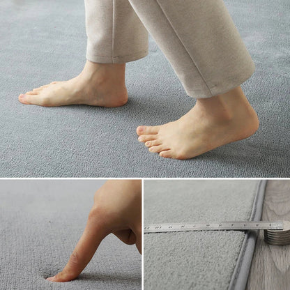 VIKAMA Modern Coral Velvet Carpet Soft Non-Slip Living Room Bedroom Carpet.