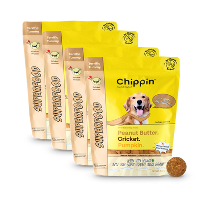 Superfood Cricket & Pumpkin Dog Treats, 4-Pack