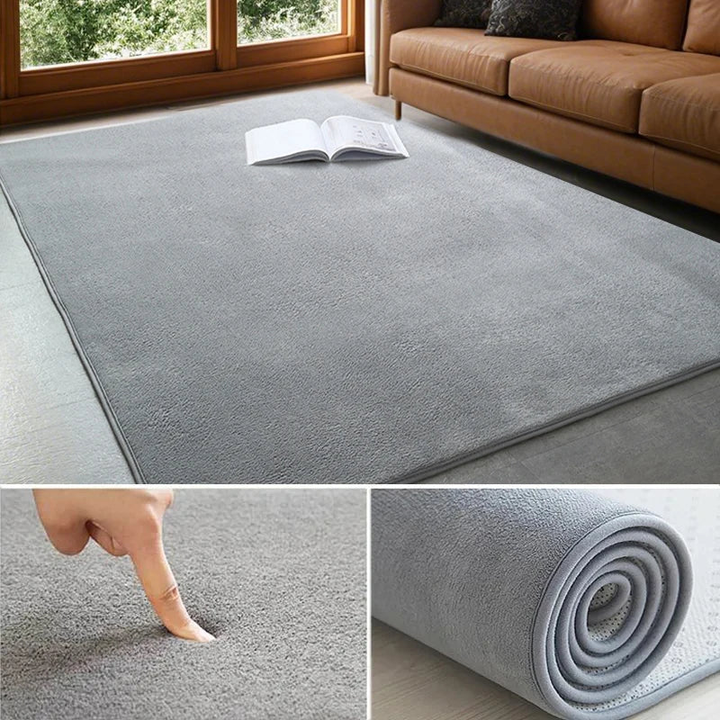 VIKAMA Modern Coral Velvet Carpet Soft Non-Slip Living Room Bedroom Carpet.