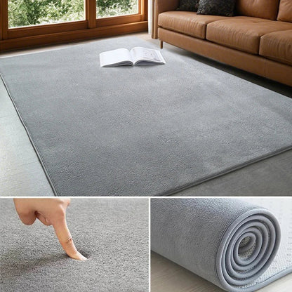 VIKAMA Modern Coral Velvet Carpet Soft Non-Slip Living Room Bedroom Carpet.