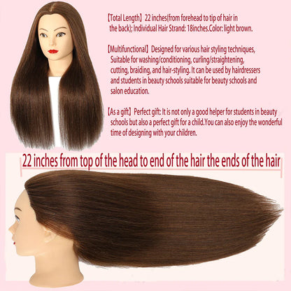 100% Real Human Hair Doll Head For Hairstyle Professional Training.