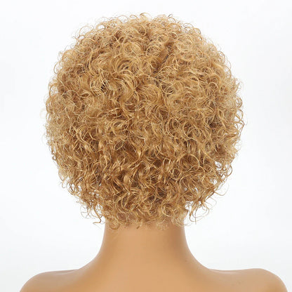 Ombre 1B/27 Pixie Cut Wigs Human Hair Curly Brazilian Virgin Hair 13x1 Transparent Lace Front Short Bob 180% Density