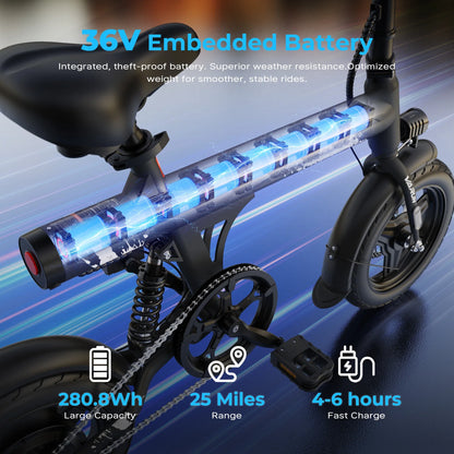 C14-1 Foldable E-bike 500 Peak Motor, 36V7.8AH Battery, Dual Discs Brakes, One Year Warranty Adult E-bicycle.
