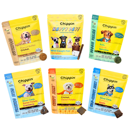 Variety Gift Bundle, 6-Pack