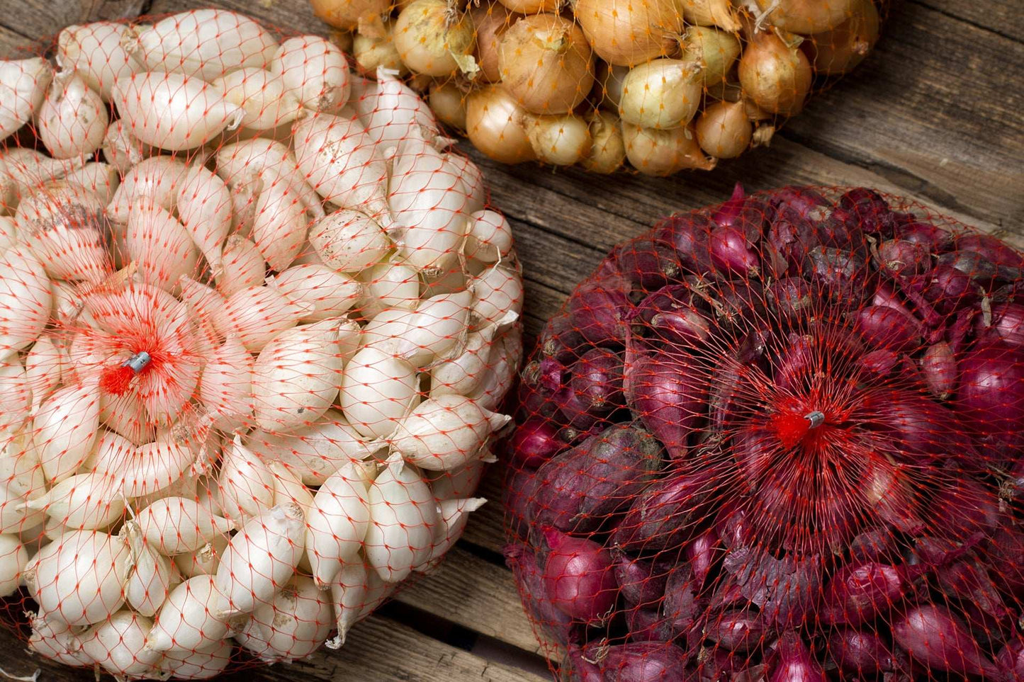 Bulk Mixed Red White & Yellow Onion Sets 4 Lbs. Non-GMO 400+ Bulbs