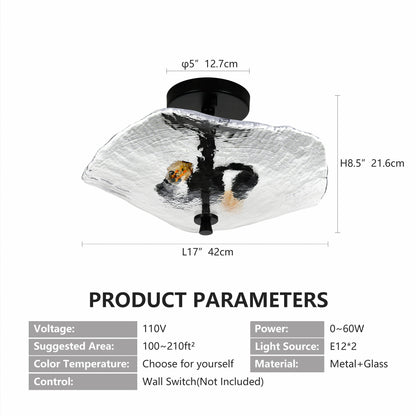 Ceiling Light Fixtures Flush Mount Indoor Outdoor Ceiling Light with Water Ripple Glass Shade (Black)