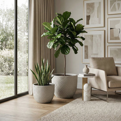 Round Concrete Planter Set of 2