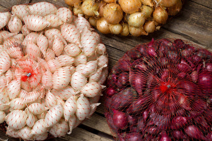 Mixed Red White And Yellow Onion Sets 50-60 Bulbs Non-GMO