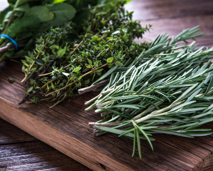 Kitchen Herb Plants Collection Rosemary Oregano Thyme Quart Pots